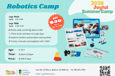 Robotics Lego Wedo / Lego 9686