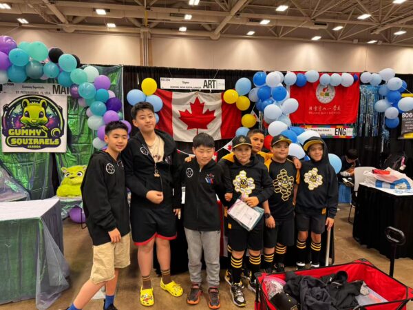 Robotics VEX IQ - Image 4